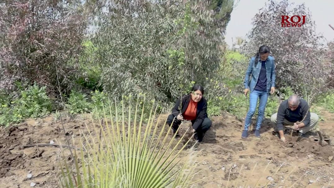 Meclîsa Jin ya PYD’ê ji bo rojbûna Rêber Ocalanli Silêmaniyê şitil çandin