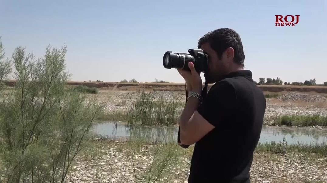 جوانییەكانی سروشت بۆ ڕووباری سیروان دەگەڕێتەوە