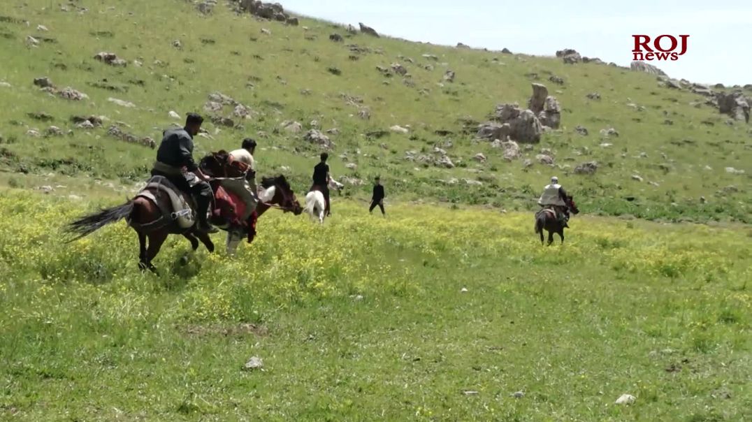 لە وەرتێ بۆ یەکەمجار فیستیڤاڵی نمایشی ئەسپسواری بەڕێوەچوو