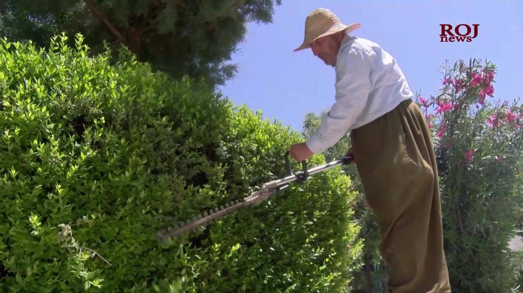 قەڵادزێ.. باخەوانانی گرێبەست ١٠ساڵە چاوەڕێی جێبەجێکردنى بەڵێنێکى حکومەت دەکەن