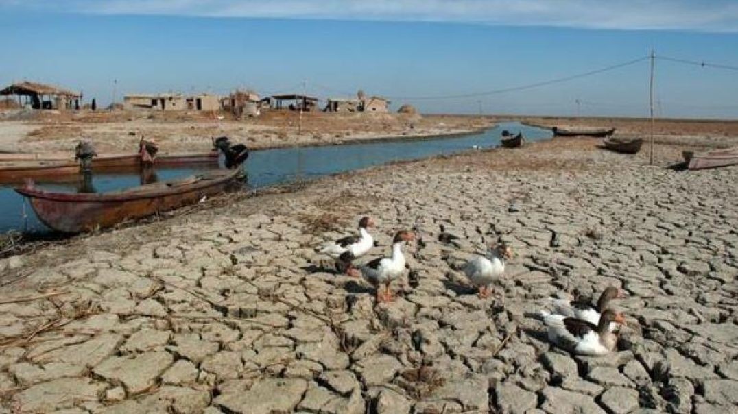 هذا حال نهر الفرات في محافظة الانبار بعد غلق السدود التركية