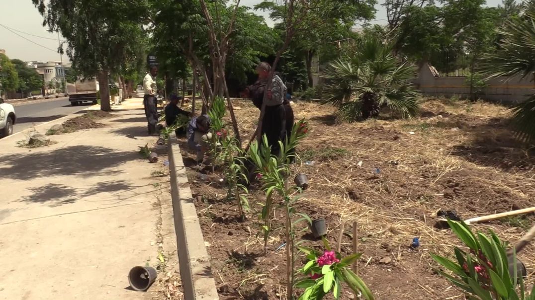 لە ڕۆژی جیهانی ژینگەدا هەڵمەتێکی نەمام چاندن لە سلێمانی بەڕێوەچوو