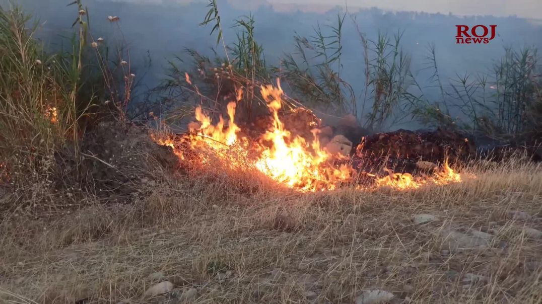 ئاگر لە ناوچەیەکى گەرمیان کەوتەوەو زیانى زۆری بە جوتیاران گەیاندوە