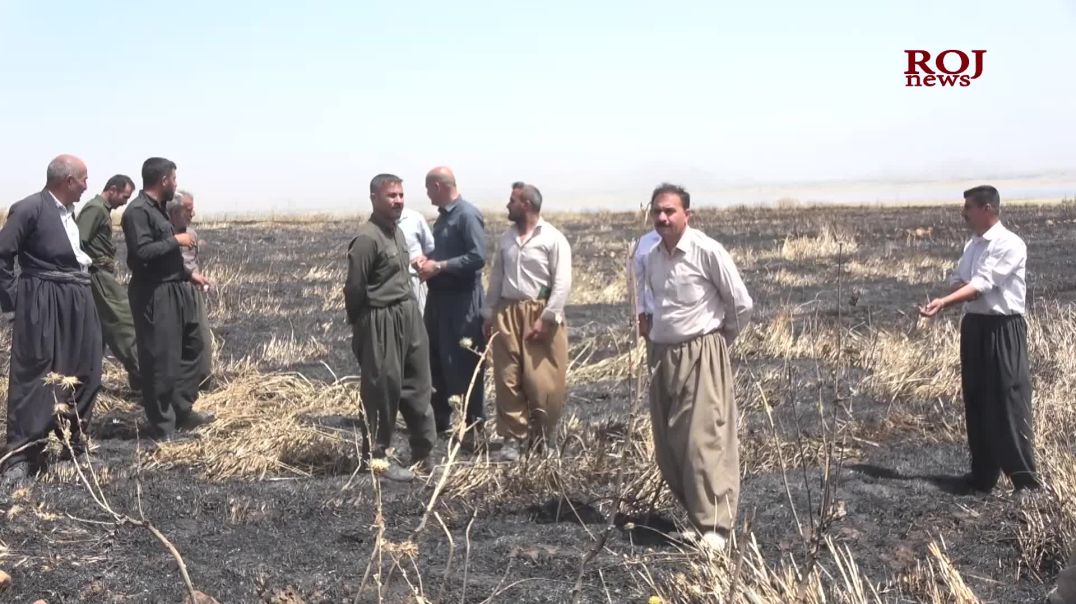 بەهۆى کەوتنەوەى ئاگر زیاتر لە هەزار تۆن گەنمى جوتیارانى شارەزوور سووتا