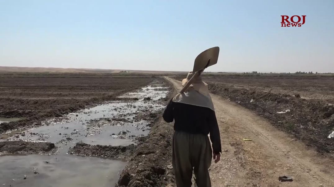 ⁣پاش دووساڵ لەقەدەغەکردنی جوتیارانی گەرمیان دەست بە مەرەزە دەکەنەوە