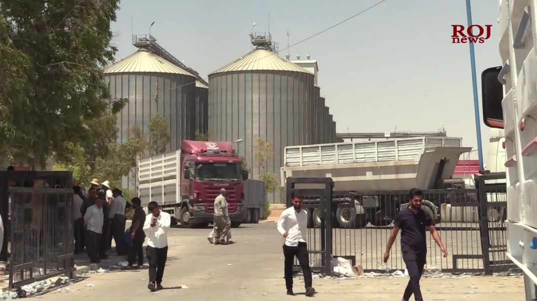 ١٨هەزار تۆن گەنم لەبەردەم سایلۆکانی هەولێردا ماون و حکومەت وەریناگرێت