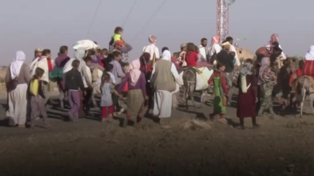 ژنانی شنگال لە دیلییەوە بۆ وەستان لەسەر پێی خۆیان