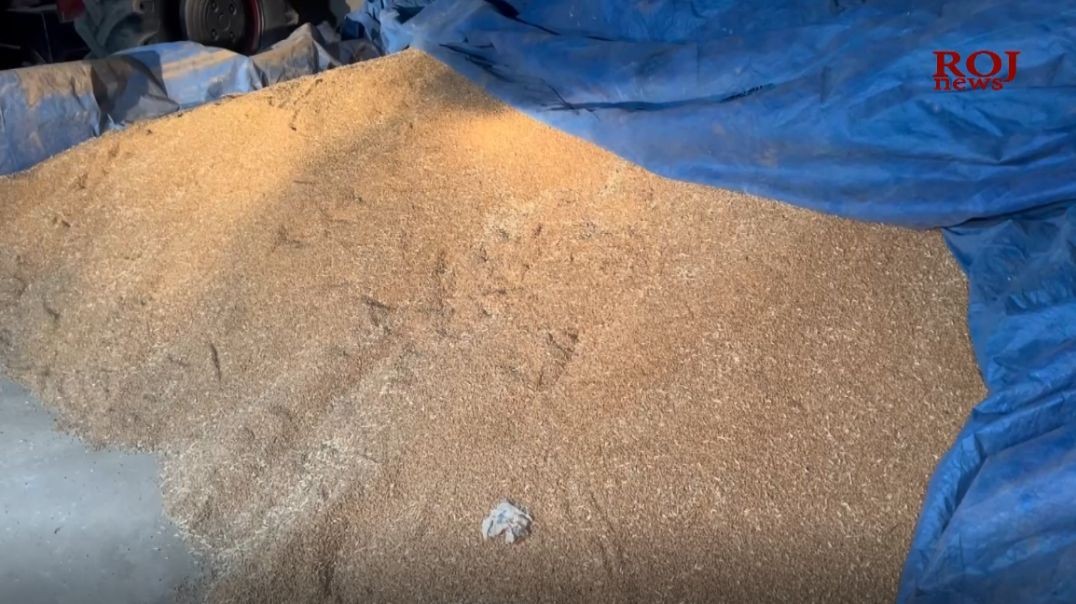 جوتیارانی کۆیە: سایلۆی هەولێر فێڵی لێکردین و تووشی زەرەر بووین