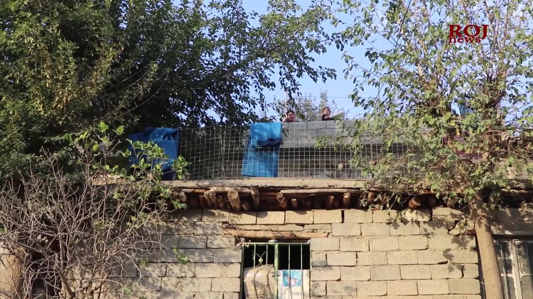 لە ڕۆژی جیهانی گوندنشین هەموو مرۆڤایەتی قەرزداری دۆزینەوەی کشتوکاڵی ژنانە