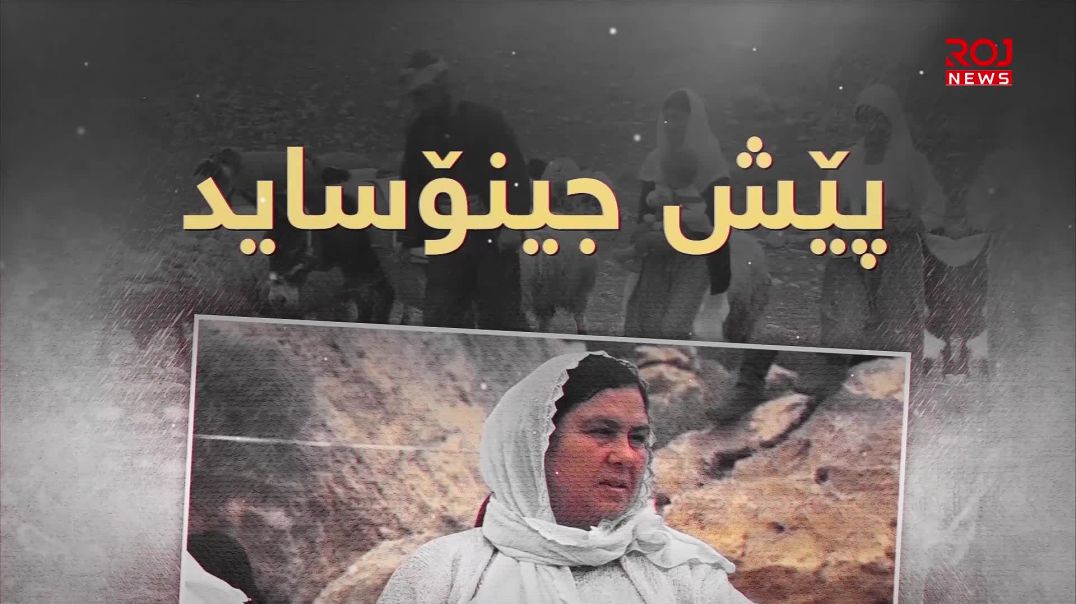 بە ڕێکخستنبوونی ژنانی گەنج تێکۆشانی شنگال فراوانتر بوو