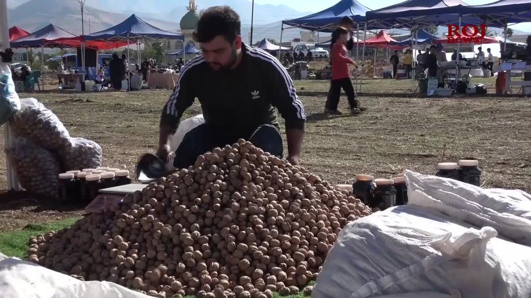 فێستیڤاڵی گوێزی هەورامان لە خورماڵ دەستی پێ کرد