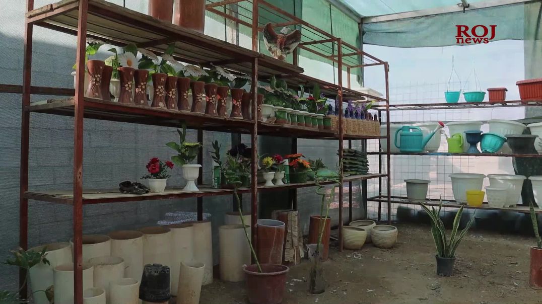 Şitilgeh û gulxaneya Nînas xizmetê ji jîngeha Şengalê re dike