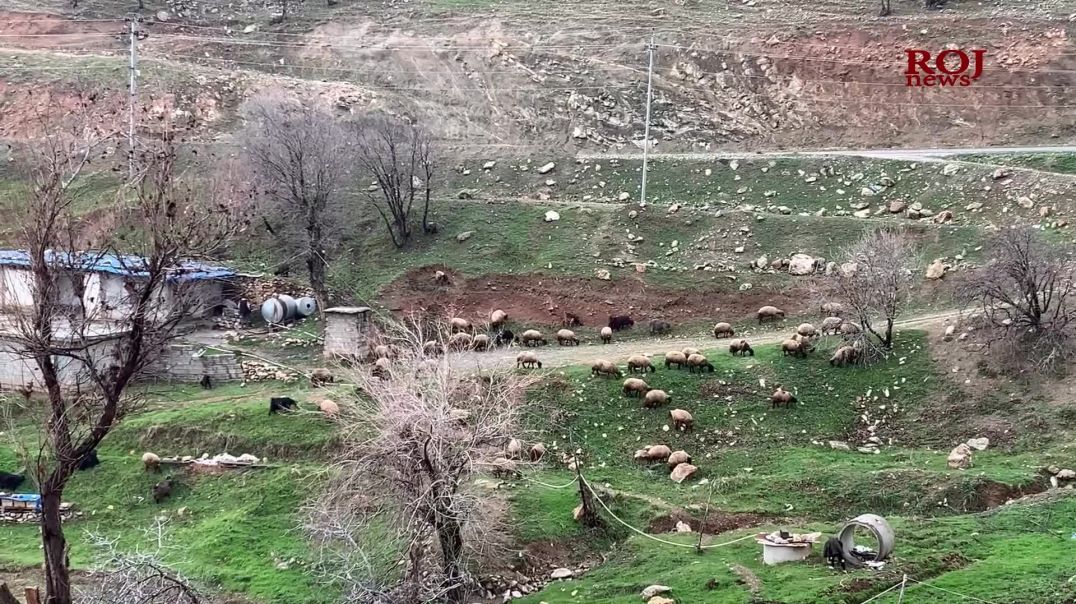 گیرە.. گوندێکی دڵڕفێن و دەوڵەمەند بە جۆرەها بەرهەمی باخداری