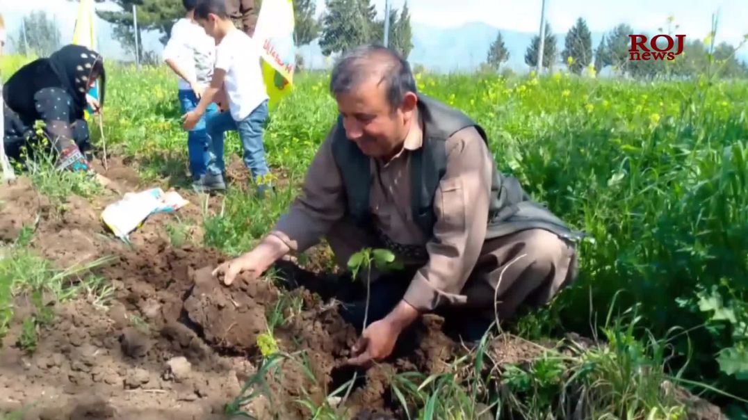 لە شارەزوور بە ناشتنی نەمام ڕۆژبوونی ڕێبەر ئۆجالان پیرۆز كرا