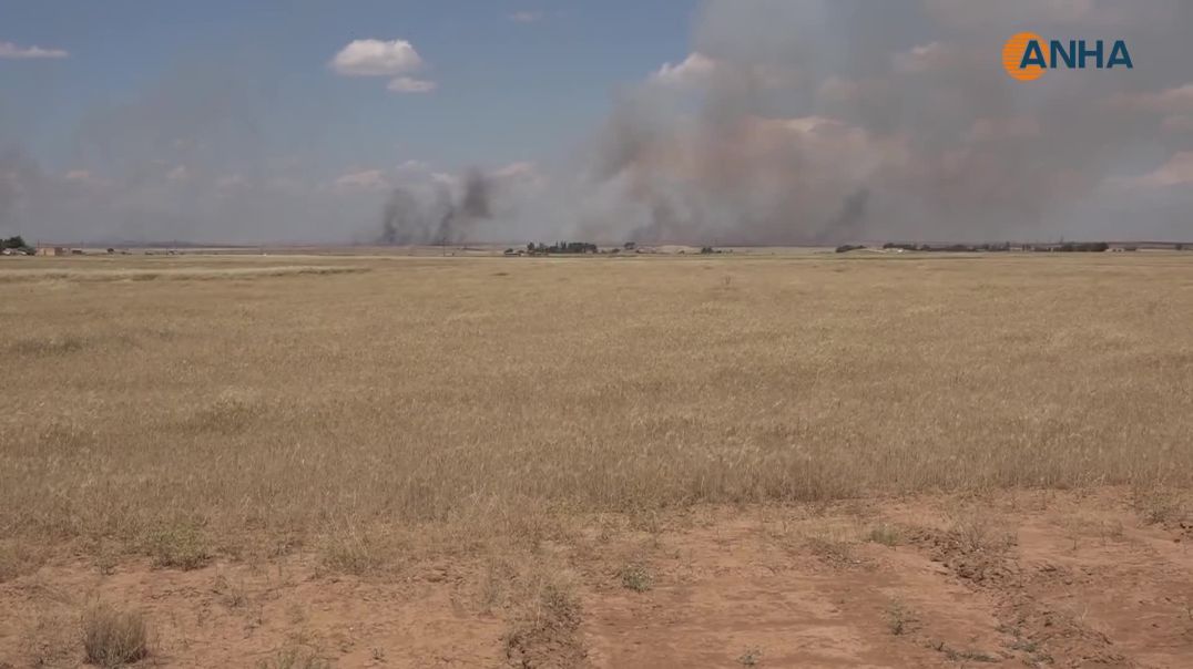 جارێکی دیکە چەتەکانی دەوڵەتی تورک ئاگریان لە ناوچە کشتوکاڵییەکانی تلتەمر بەردا