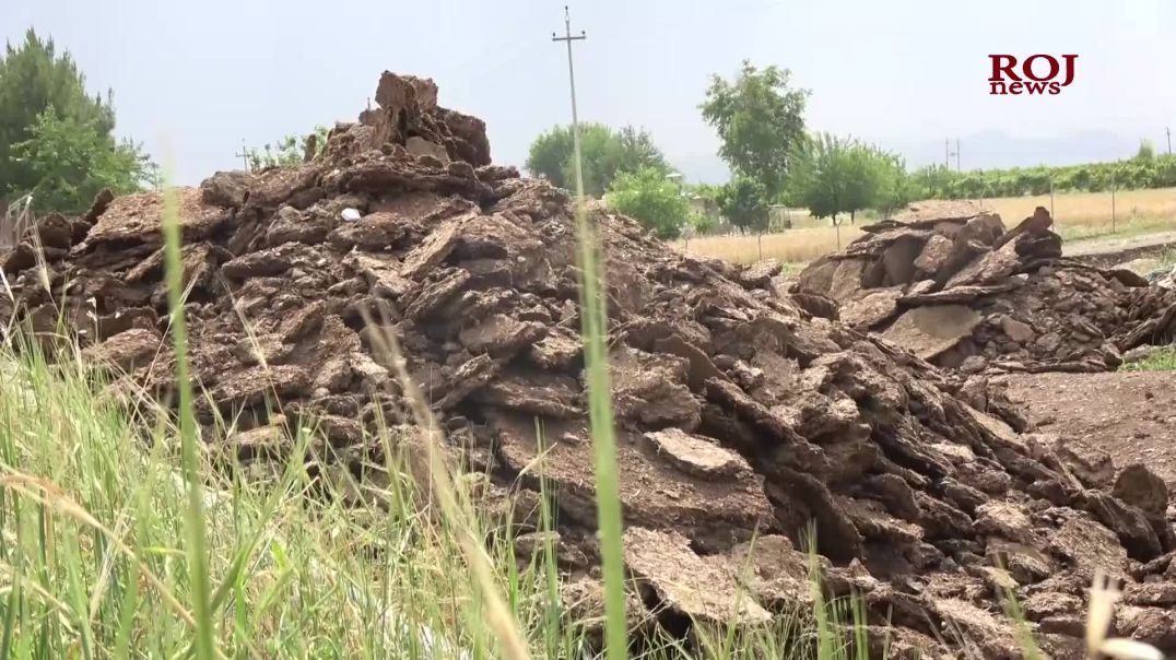 پاشماوەی كێڵگە پەلەوەرییەكان بووەتە مەترسی لەسەر هاوڵاتییانی هەڵەبجە