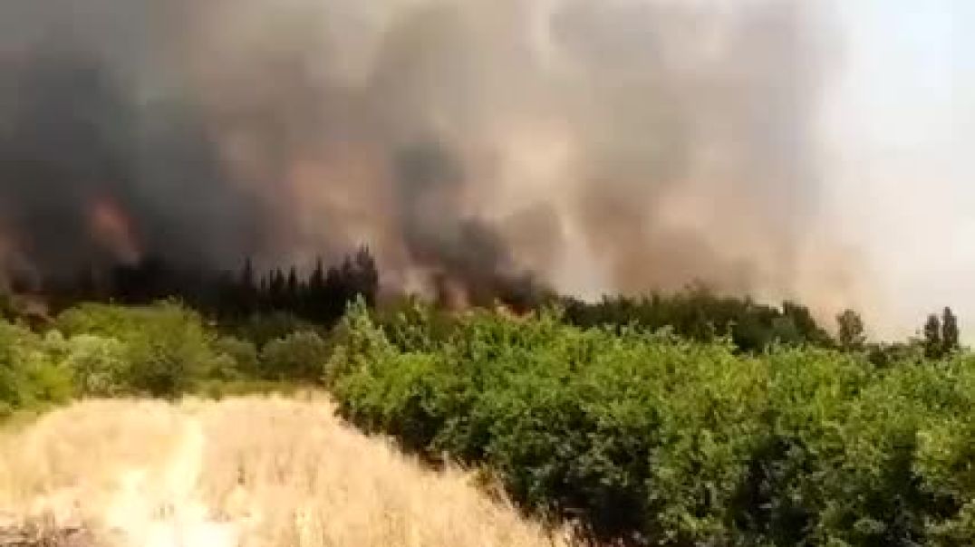 thDvs5Mq9Gg7UnuCHes5_19_5773514a60971e19a1016339088c63a0_video_240p_converted