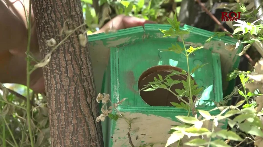 لە چەمچەماڵ پڕۆژەی درووستکردنی ماڵی باڵندەکان جێبەجێ کرا