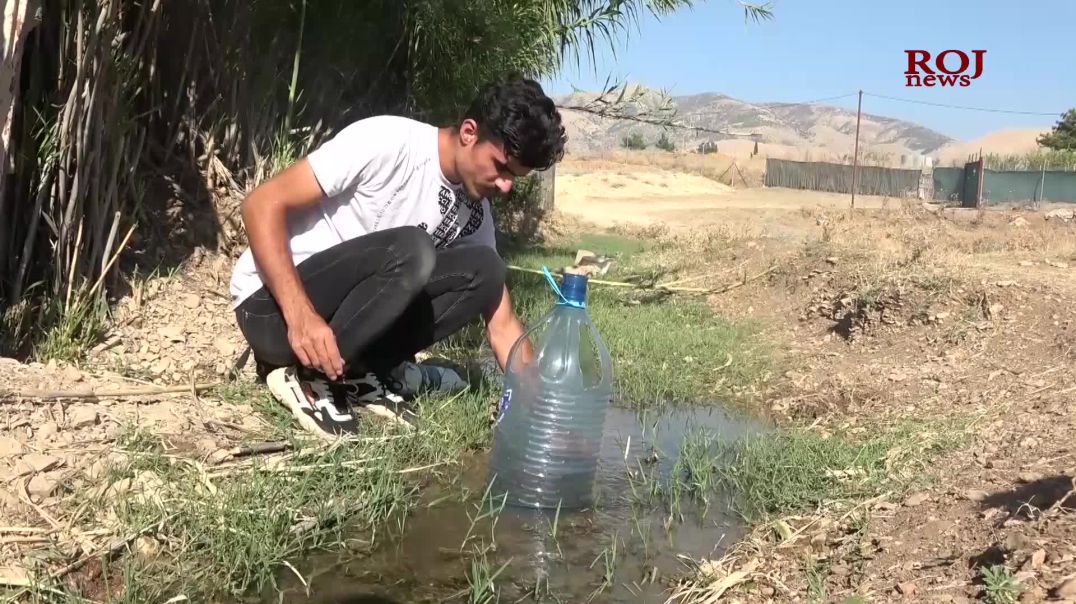 لە پاڵ پیشەکەیدا هۆگر ئەحمەد باڵندەکانیش لە لە ناوچوون دەپارێزێت