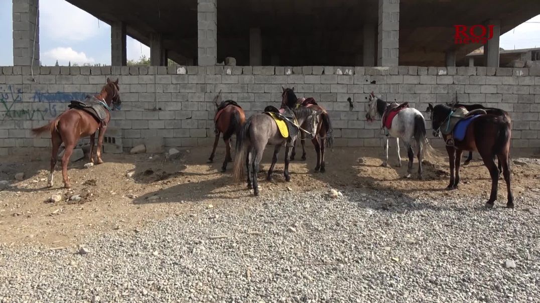 فێرگەی ئەسپسواریی پشدەر جێگایەک بۆ دڵنەوایی گەنجانی دەڤەرەکە