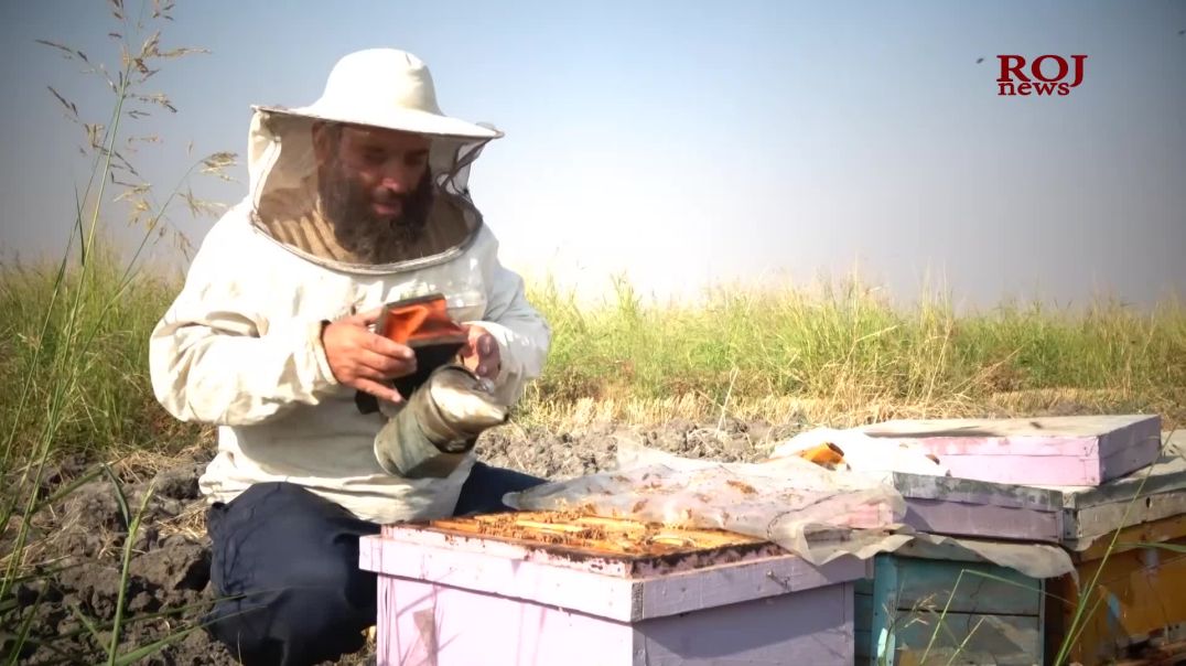 بەرهەمی هەنگوینی ئەمساڵ لە هەڵەبجە ڕووی لە کەمبوونەوەیە