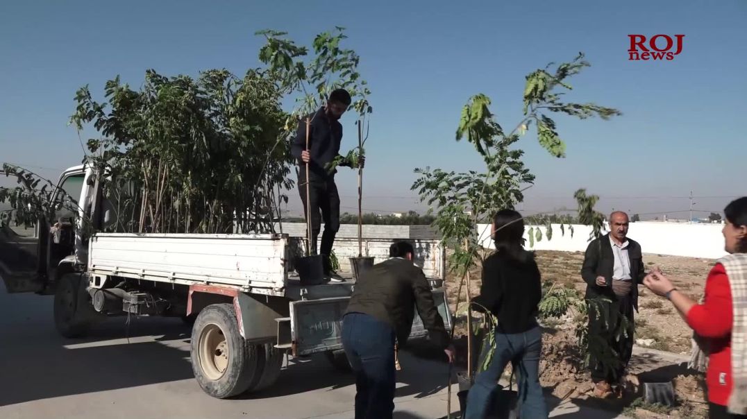 Li Mexmûrê kampanya dar çandinê hat destpêkirin