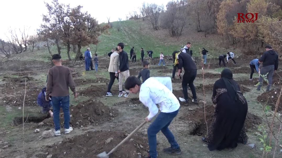 بە بۆنەی ساڵیادی دامەزراندنی پەکەکەوە لە قەندیل ٣٠٠ نەمام چێنرا