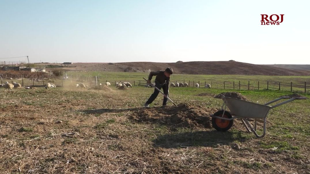 Li  Mexmûrê xeyalên zarokan hêviyan şîn dike