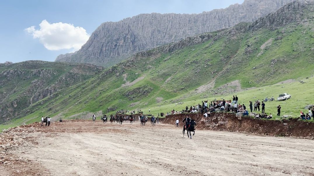 ئەسپی كوردی لە چیاكانی كوردستان نمایش دەکرێت