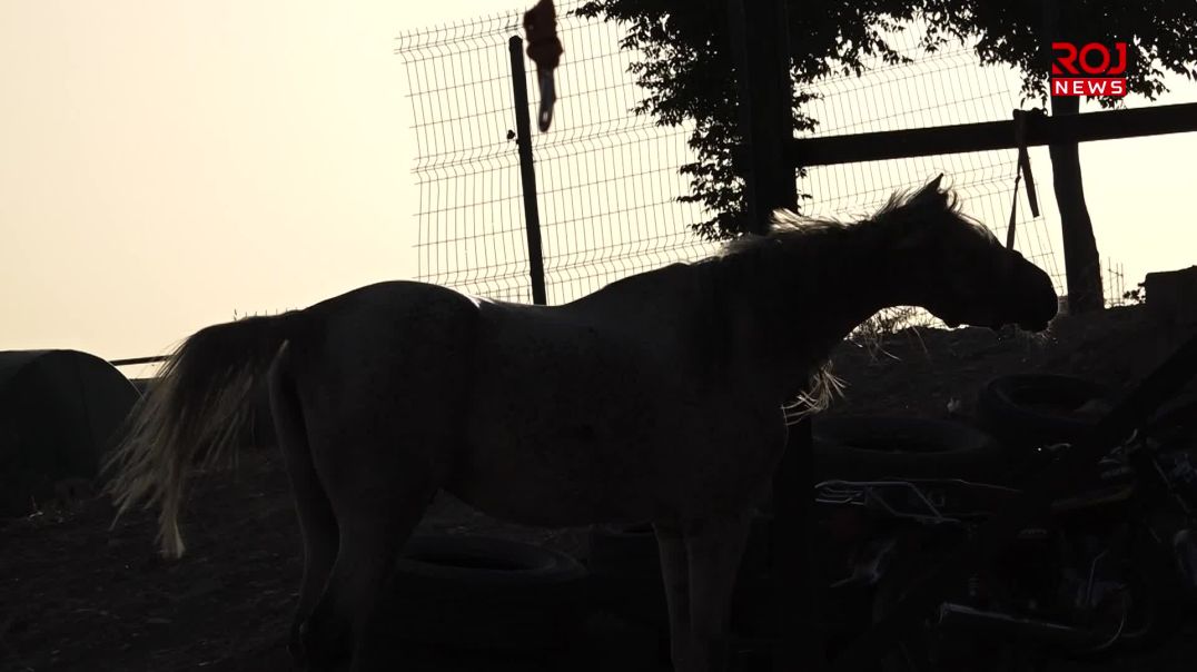 ژنان ئەسپسواری دەکەن بە بەشێک لە چالاکییەکانی ڕۆژانەیان