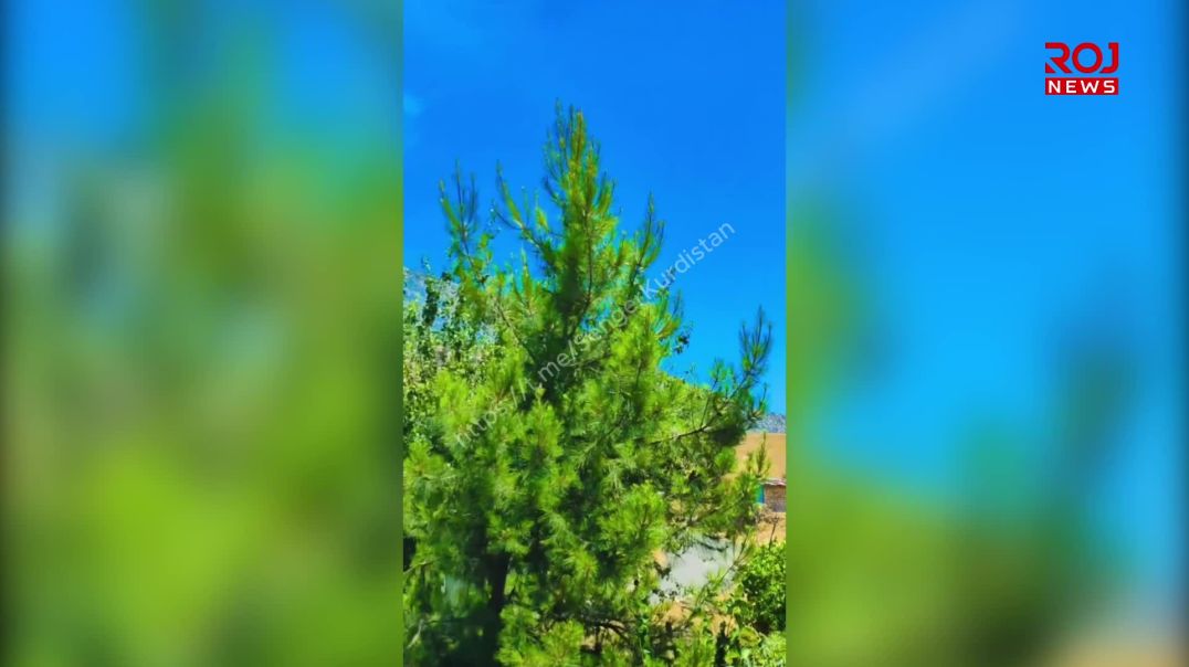 دەوڵەتی تورك سنوری دهۆك بۆردومان دەكات