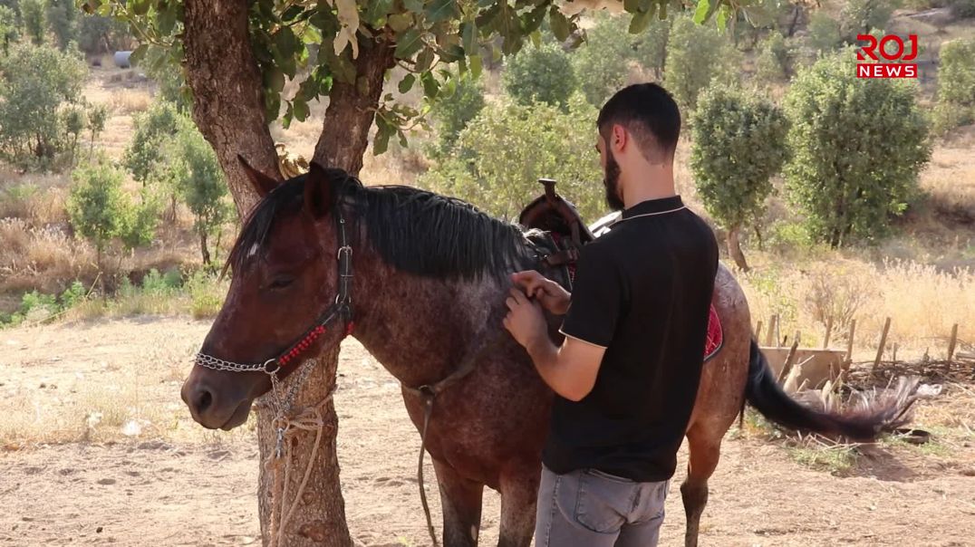 لە دێرەلووک هێشتا هاوڕێیەتی نێوان ئەسپ و مرۆڤ وەک خۆی ماوەتەوە