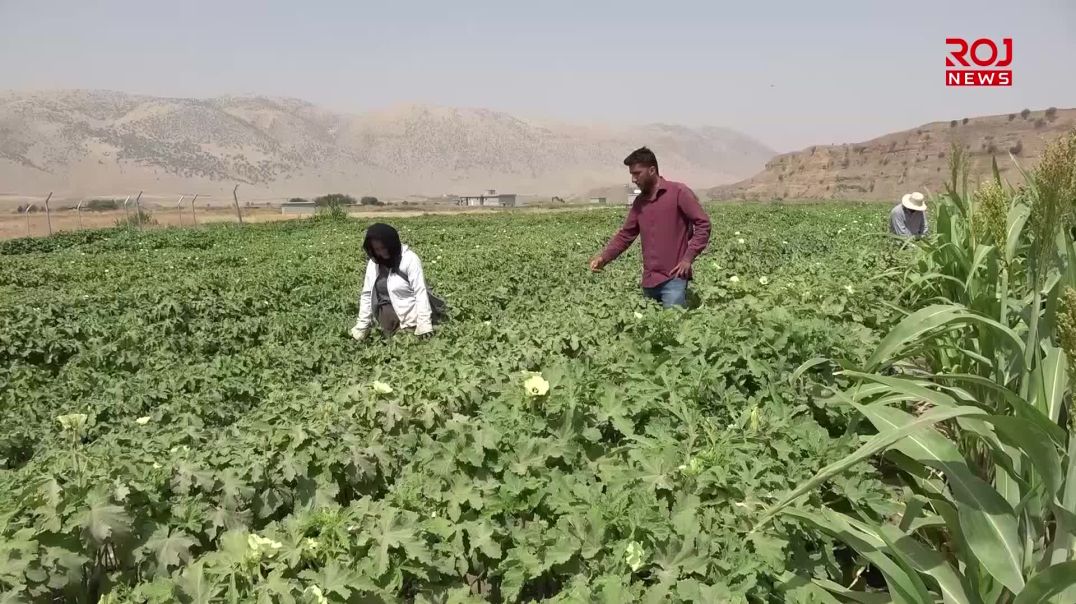 جوتیارانی ژن بەهۆی کەمبوونەوەی ئاوی زێی بچووک نیگەرانی دەردەبڕن