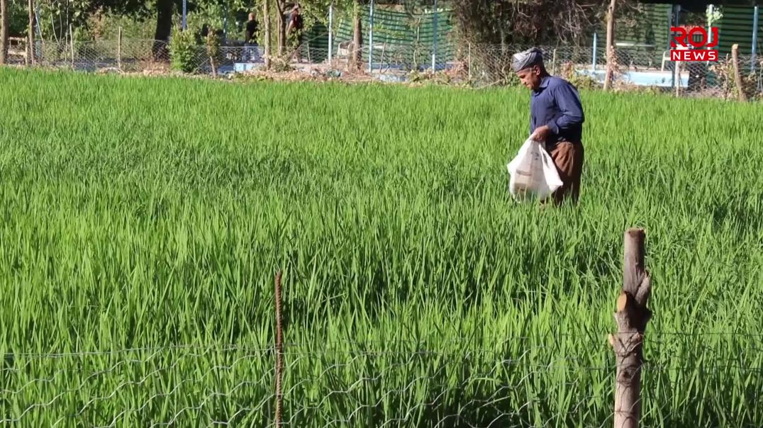 دوای بانگەوازەکەی ڕێبەر ئاپۆ ژیان بۆ گوندەکانی دێرەلووک دەگەڕێتەوە