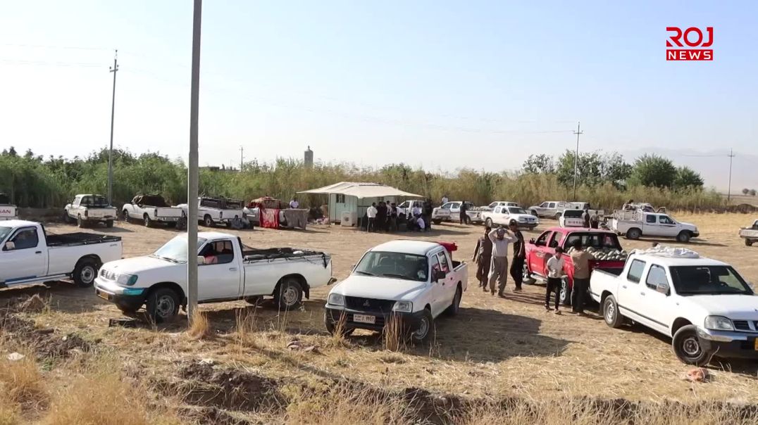 بەرهەم و ڕەنجی جوتیاران؛ لەنێوان وشکەساڵی و کەمتەرخەمی حکومەتدا