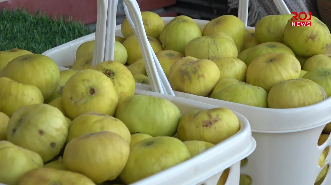 هەنجیری زەڵم پێگەیشتووە و خواستی تایبەتی لەسەرە