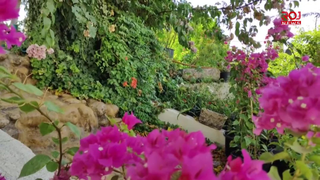 ماڵە گوڵزارەکەی عەبدولڕەحیم دیمەنێکی دڵڕفێنی بە ئەحمەدئاوا بەخشیوە