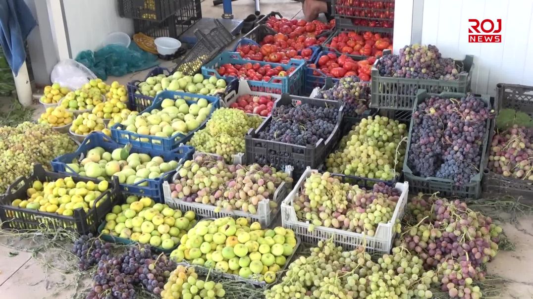 جوتیارانی شارەزوور: حكومه‌ت  هەرێم هاوكاریمان ناكات