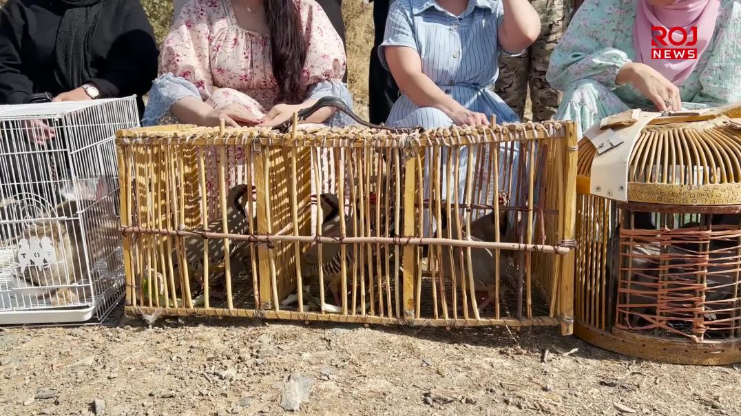 قەڵادزێ ـ هەواڵ ـ ئازادکردنی ئاژەڵی کێوی