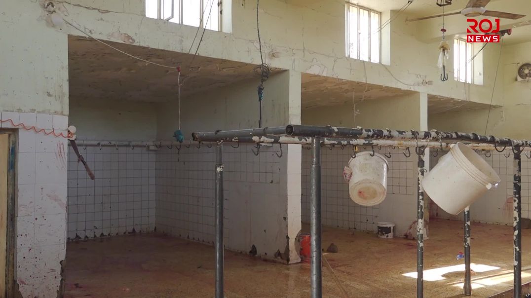 کوشتارگەکەی ڕانیە بووەتە سەرچاوەی بۆنی ناخۆش و هاوڵاتییانی بێزار کردووە