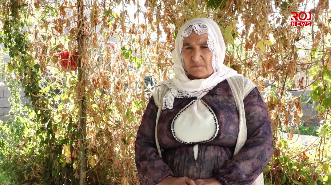 29-11-2025-Heza-hevpar-a-Kurdan-we-serkeftine-bi-xwe-re-bıne