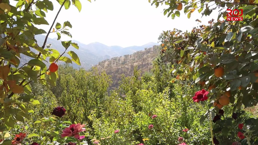 "ئازادیی ڕێبەر ئاپۆ مەرجی سەرکەوتنی پڕۆسەی ئاشتییە"