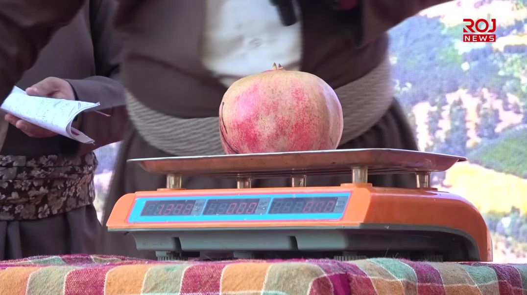 پێشبڕکێ هەڵەبجە