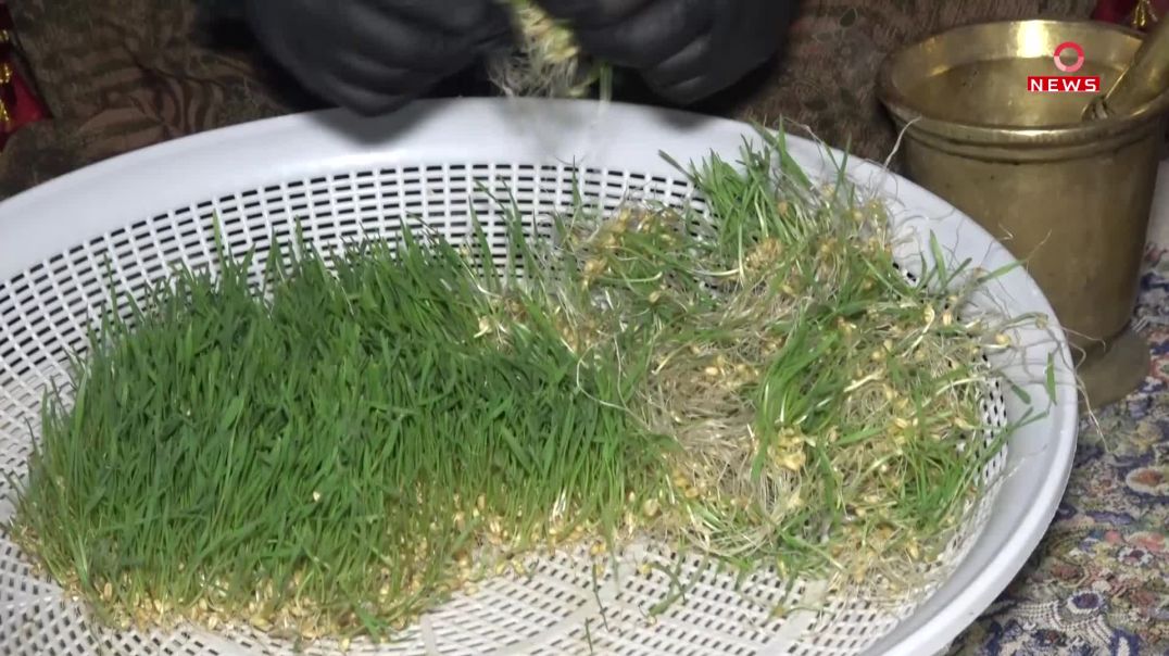 نزار تاكه‌ ژنى هه‌ڵه‌بجه‌یه‌ خواردنى سه‌مه‌نى درووست ده‌كات