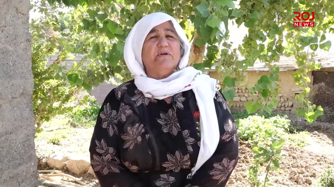 ‘Dewleta Tirk niha necare gaveke bi aveje