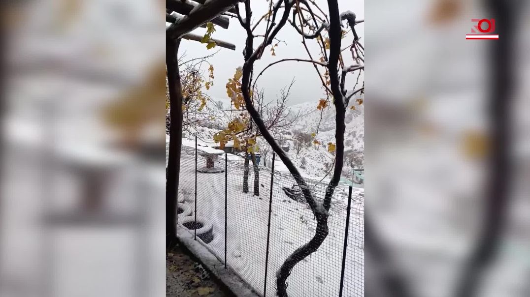 لە سنووری سلێمانی بەفربارین دەسیتپێكرد