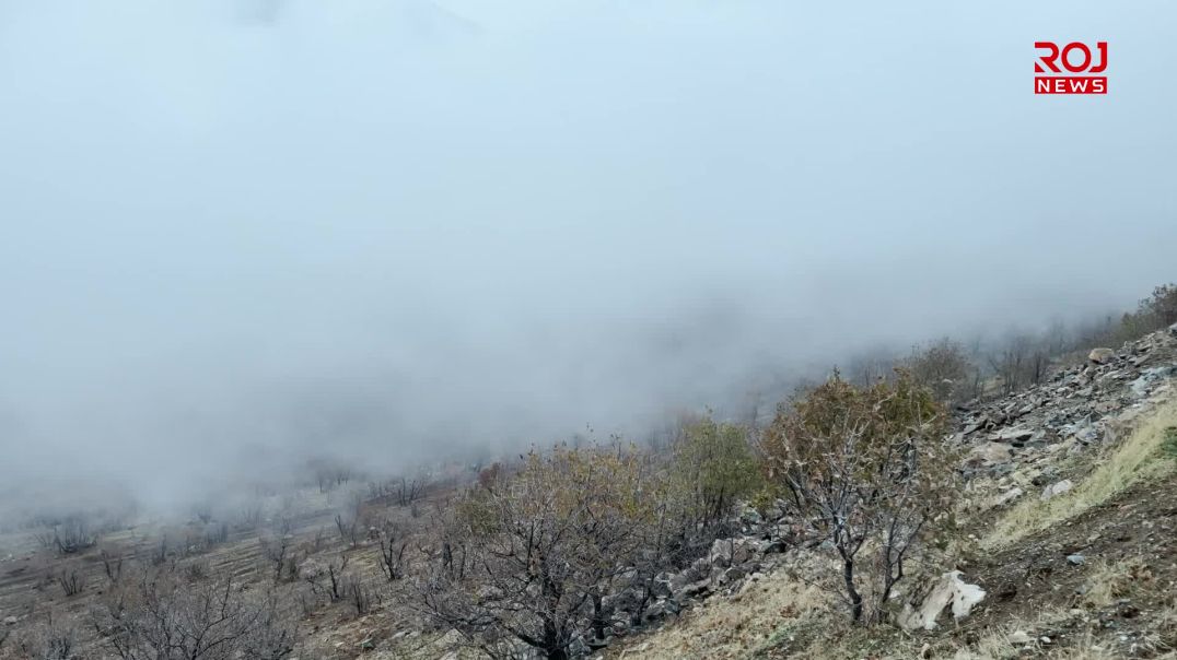 12-12-2025-kele-hawal