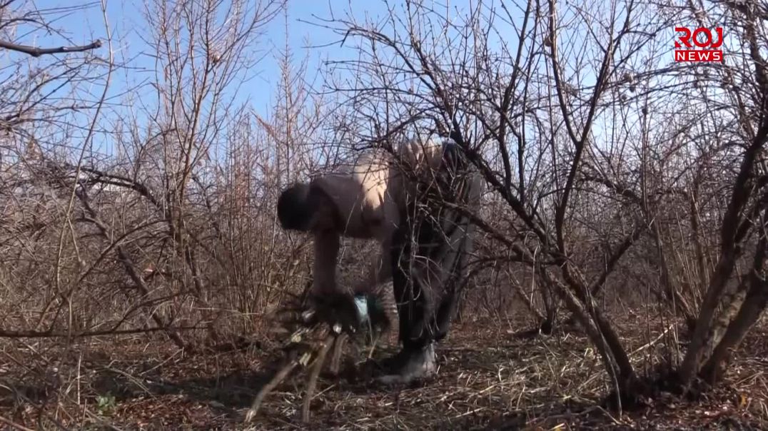 ئەنوەر کوڵکنی بە دروستکردنی قەڵەم هەوڵی بەرفراوانکردنی باخ دەدات