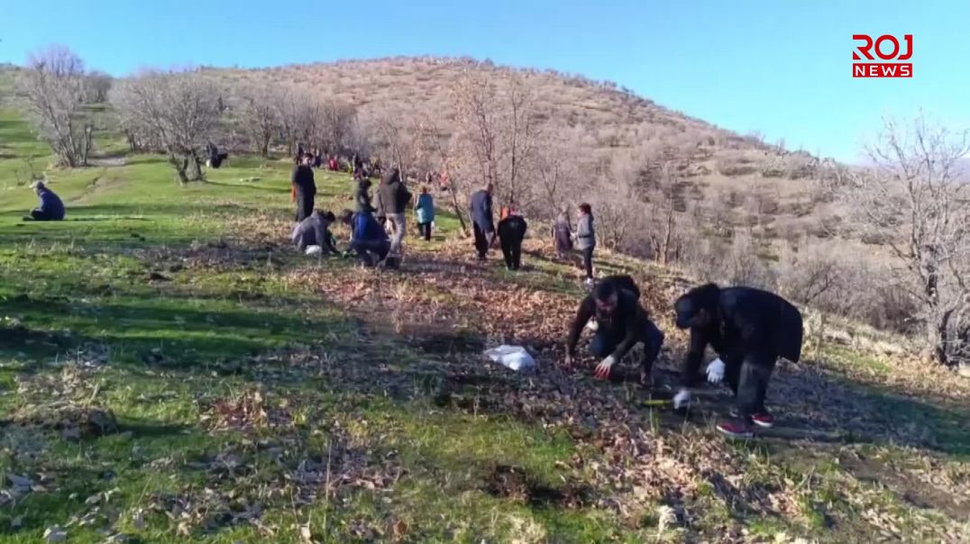 لە هەڵمەتی زاگرۆسانەی پێنجوێندا ٢٠ هه‌زار به‌ڕوو چێندران