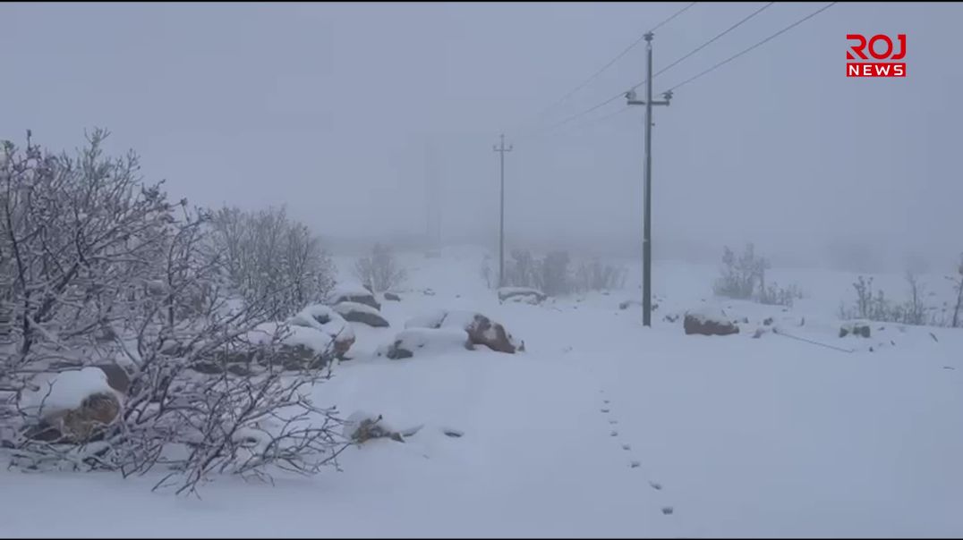 Şengal bi befrê spî bû